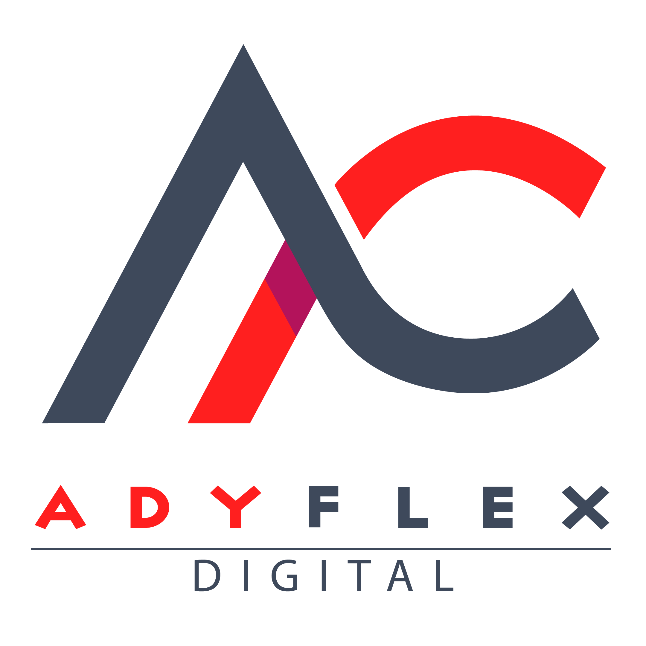 Adyflex Digital-Digital Marketing Agency in Udaipur|SEO Agency in Udaipur